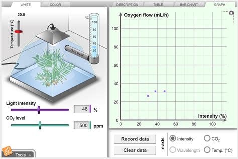 Photosynthesis Simulation 